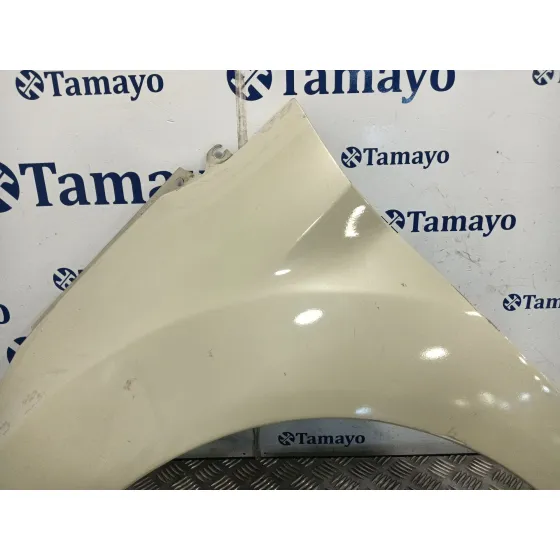 Aleta Delantera Izquierda para Ford Fiesta (Cb1)