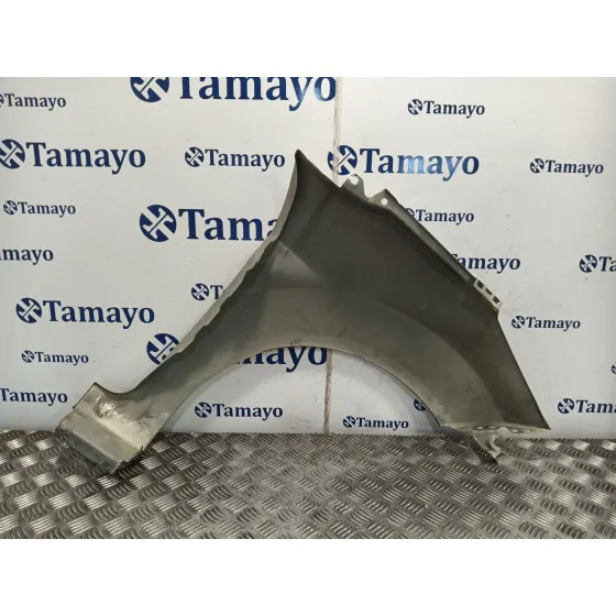 Aleta Delantera Izquierda para Ford Fiesta (Cb1)