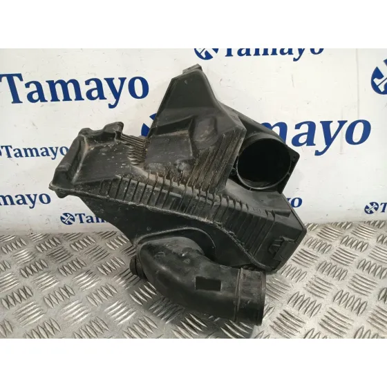 Carcasa Filtro Aire para Nissan Juke (F15)