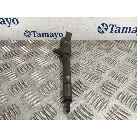 Inyector para Hyundai Santa Fe (Bm)