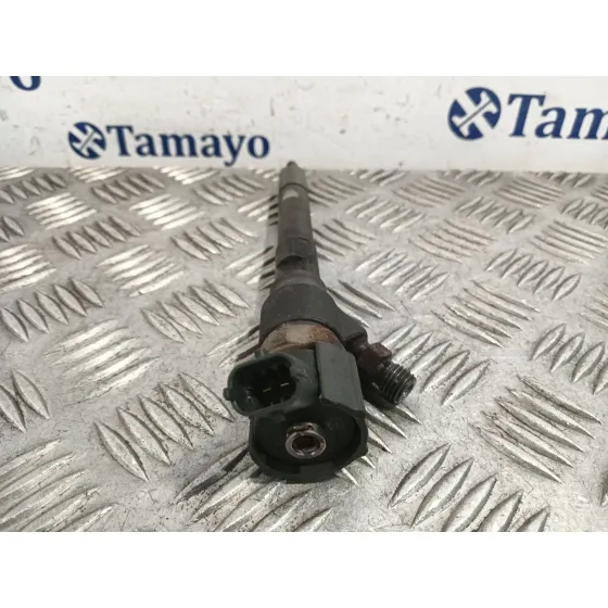 Inyector para Hyundai Santa Fe (Bm)