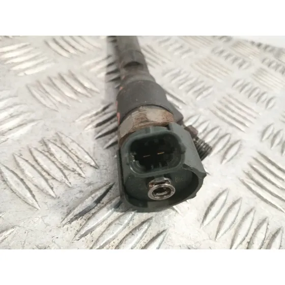 Inyector para Hyundai Santa Fe (Bm)