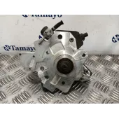 Bomba Inyeccion para Hyundai Santa Fe (Bm)