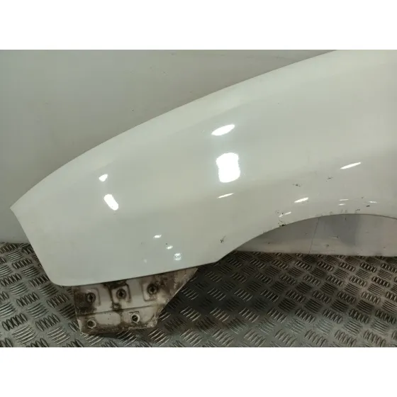 Aleta Delantera Izquierda para Seat Ibiza Iii (6L1)