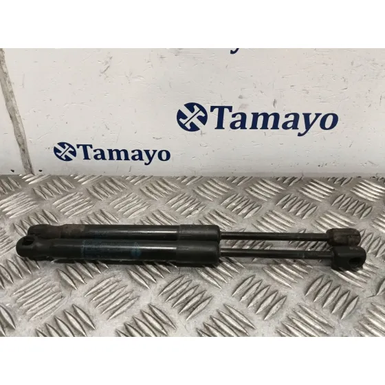Amortiguadores Capo para Mini Mini Countryman (R60)