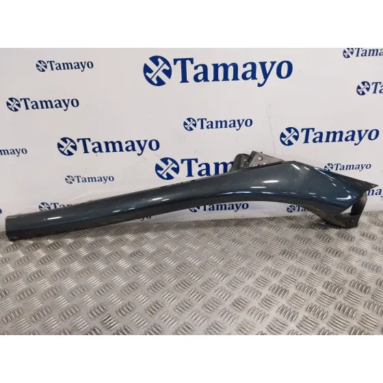 Molduras Delanteras para Renault Scenic Iii