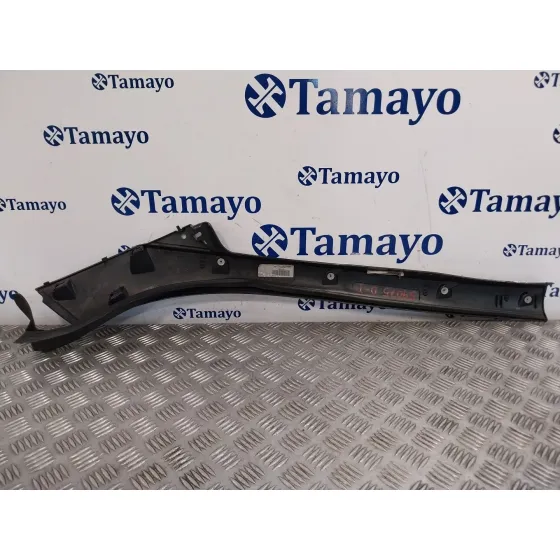 Molduras Delanteras para Renault Scenic Iii