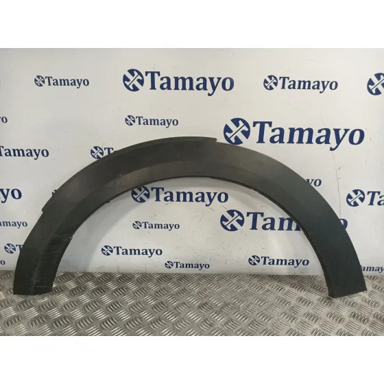 Aletin Delantero Izquierdo para Mini Mini Countryman (R60)
