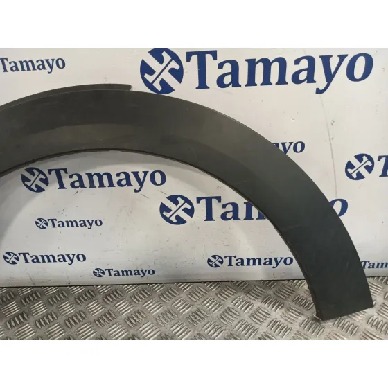 Aletin Delantero Izquierdo para Mini Mini Countryman (R60)