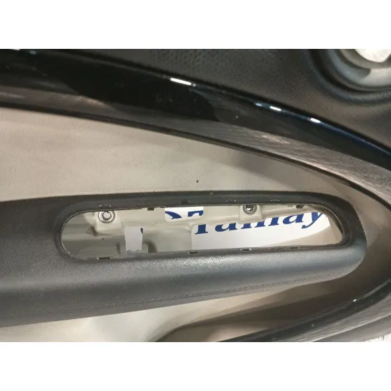 Guarnecido Puerta Delantera Izquierda para Mini Mini Countryman (R60)