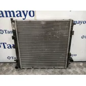 Radiador Agua para Citroën C3