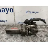 Enfriador Egr para Seat Leon (1P1)