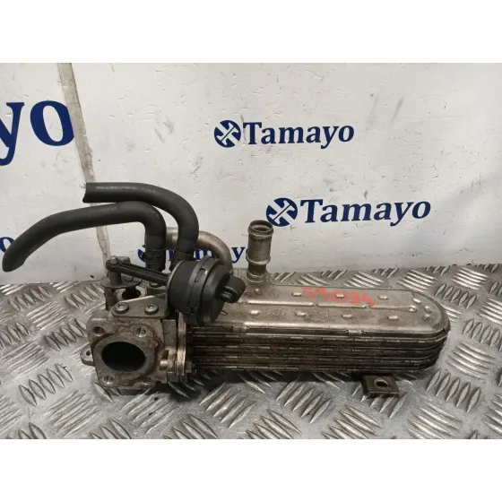 Enfriador Egr para Seat Leon (1P1)