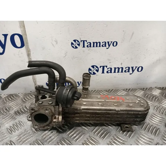 Enfriador Egr para Seat Leon (1P1)