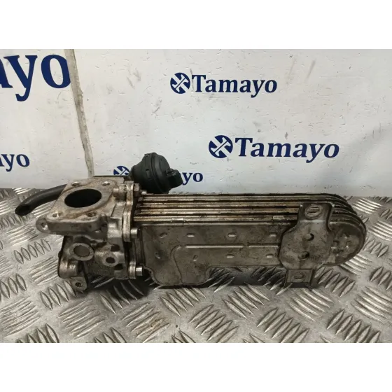 Enfriador Egr para Seat Leon (1P1)