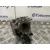 Enfriador Egr para Seat Leon (1P1)