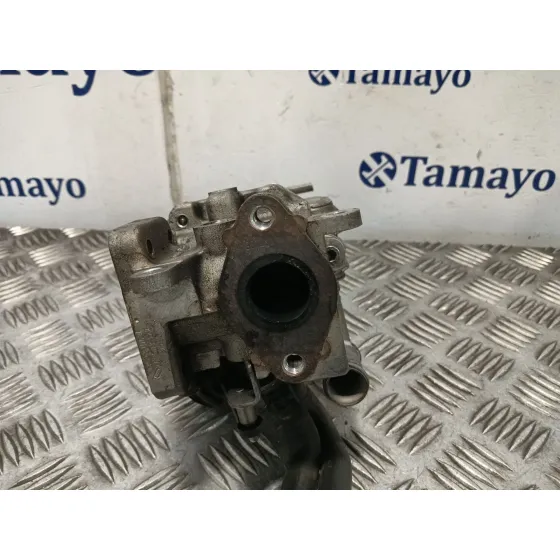 Enfriador Egr para Seat Leon (1P1)