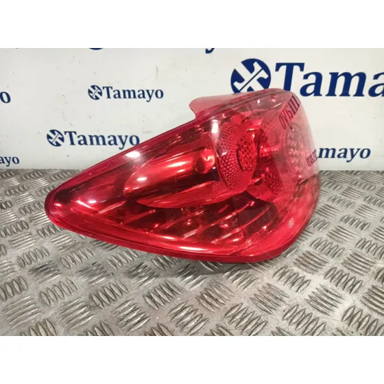 Piloto Trasero Izquierdo para Peugeot 307 (3A/C)