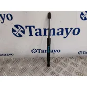 Amortiguadores Capo para Renault Scenic Iii (Jz0/1_)