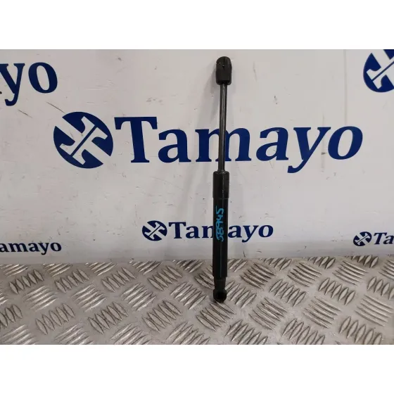 Amortiguadores Capo para Renault Scenic Iii (Jz0/1_)
