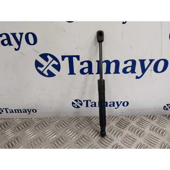 Amortiguadores Capo para Renault Scenic Iii (Jz0/1_)