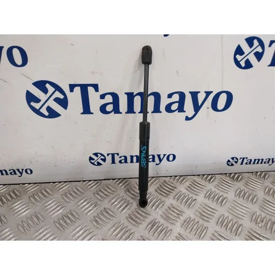 Amortiguadores Capo para Renault Scenic Iii (Jz0/1_)