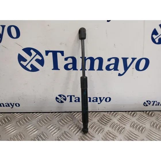 Amortiguadores Capo para Renault Scenic Iii (Jz0/1_)