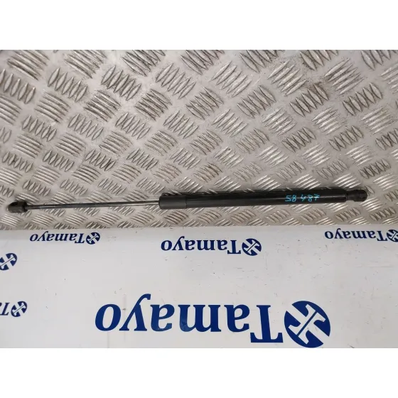 Amortiguador Trasero para Bmw X1 (E84)