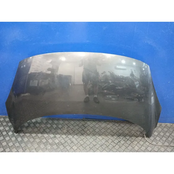 Capot para Renault Scenic Iii