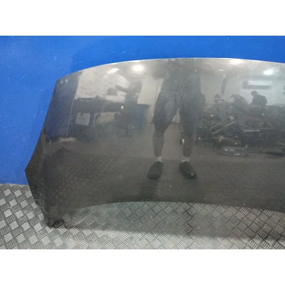 Capot para Renault Scenic Iii