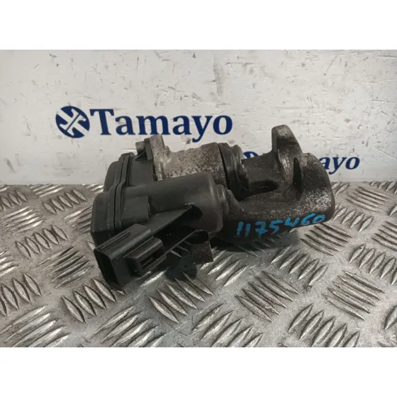 Pinza Freno Trasera Izquierda para Renault Scenic Iii (Jz0/1_)
