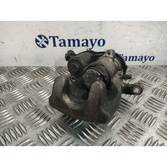 Pinza Freno Trasera Izquierda para Renault Scenic Iii (Jz0/1_)