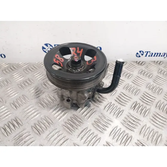 Bomba Direccion para Hyundai Santa Fe (Bm)