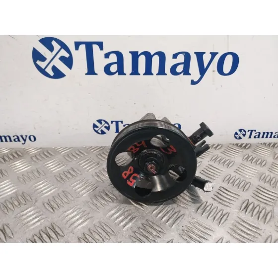 Bomba Direccion para Hyundai Santa Fe (Bm)