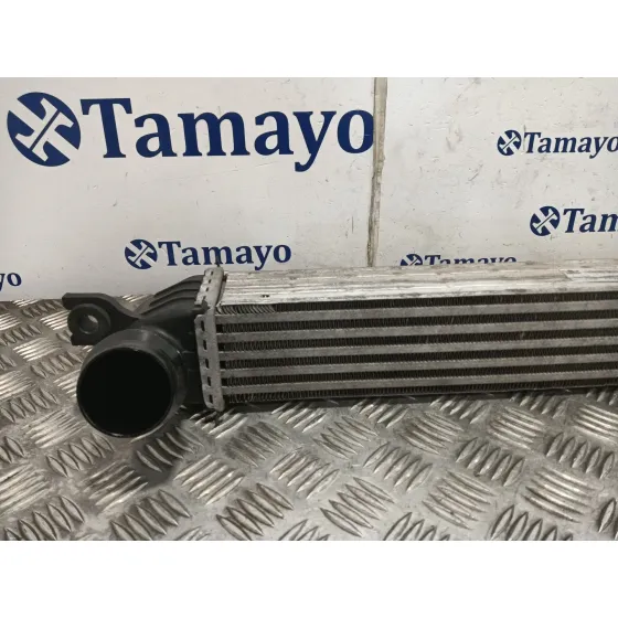 Intercooler para Mini Mini Countryman (R60)