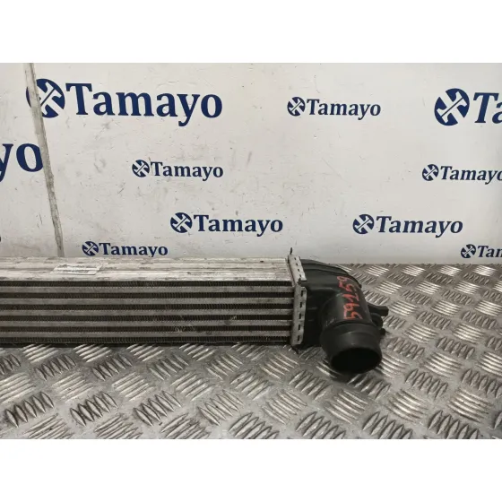 Intercooler para Mini Mini Countryman (R60)