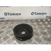 Polea Ciguenal para Seat Leon (1P1)
