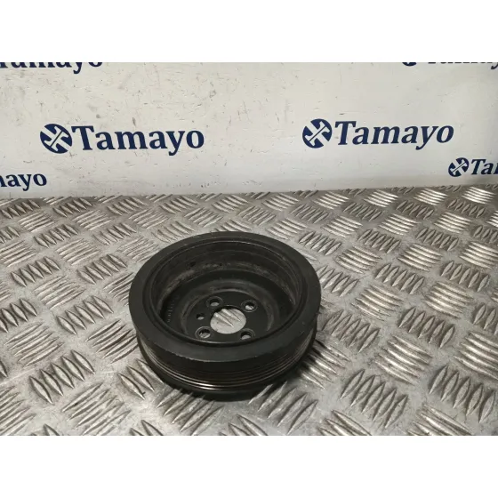 Polea Ciguenal para Seat Leon (1P1)