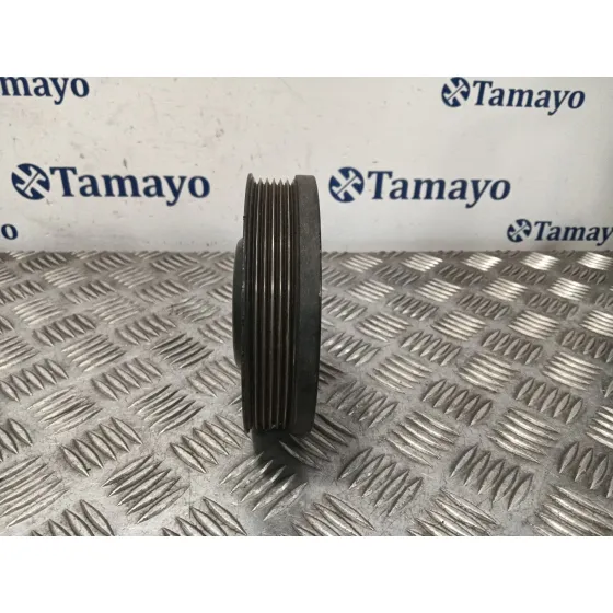 Polea Ciguenal para Seat Leon (1P1)