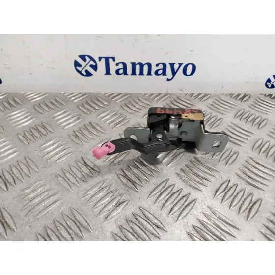 Cerradura Maletero / Porton para Nissan Pathfinder (R51)