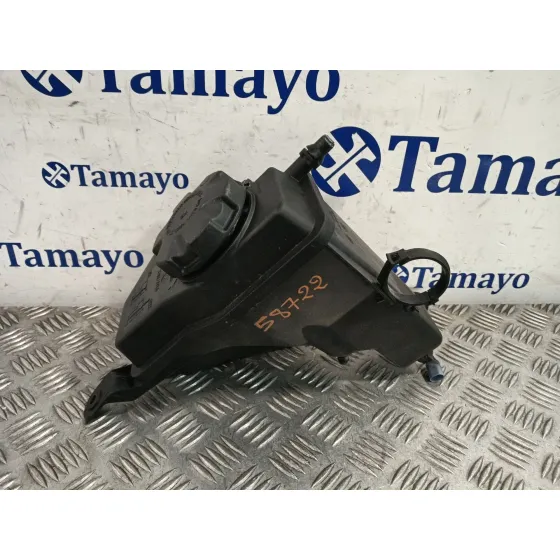 Deposito Expansion para Bmw Serie 3 Berlina (E90)
