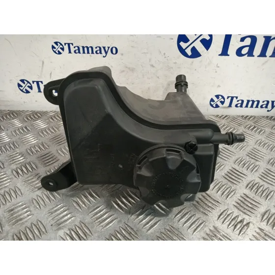 Deposito Expansion para Bmw Serie 3 Berlina (E90)