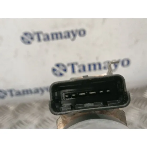 Elevalunas Delantero Izquierdo para Nissan Pathfinder (R51)