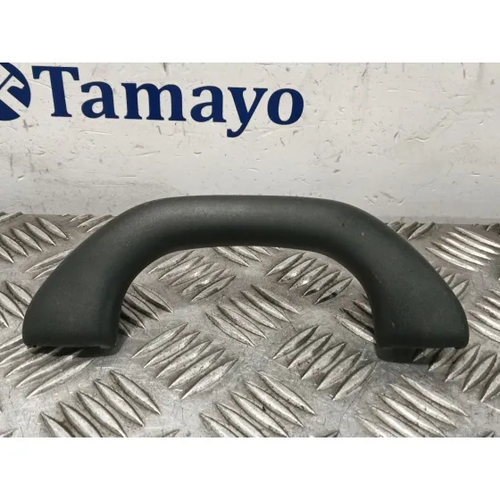 Asidero Delantero Izquierdo para Volkswagen Golf V (1K1)