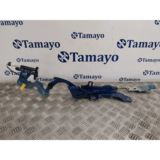 Amortiguadores Maletero / Porton para Bmw 2 Active Tourer (U06)