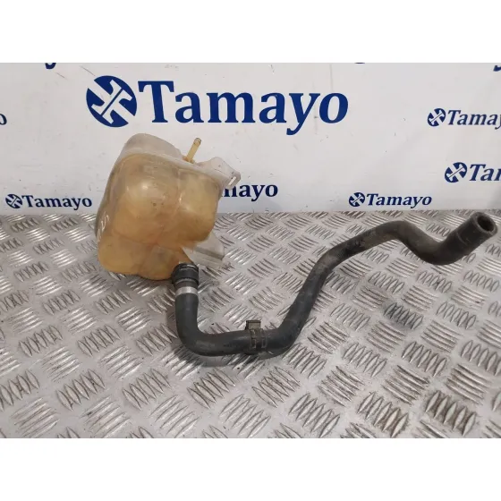 Deposito Expansion para Bmw Mini (R56)