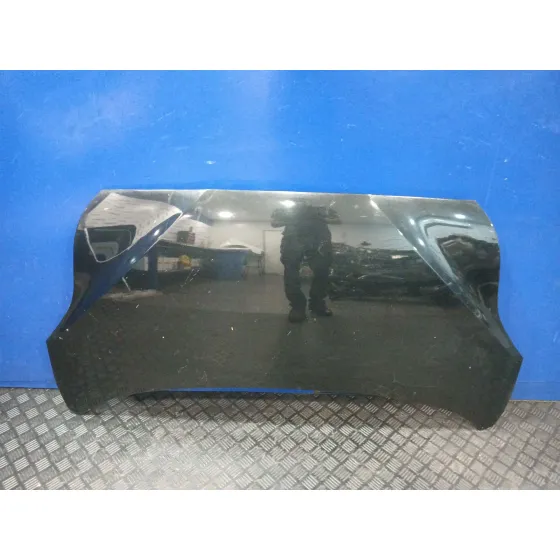 Capot para Hyundai Ix20 (Jc)