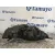 Faro Izquierdo para Hyundai Ix20 (Jc)