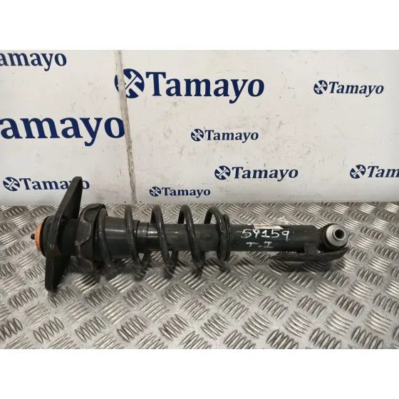 Amortiguador Trasero Izquierdo para Mini Mini Countryman (R60)