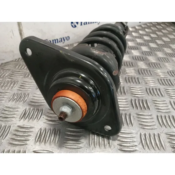 Amortiguador Trasero Izquierdo para Mini Mini Countryman (R60)